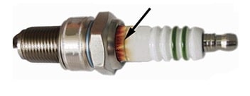  زرد شدن چینی