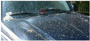 آسیب‌پذیری رنگ بدنه خودرو