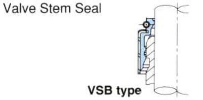 کاسه‌نمد VSB