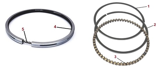 انواع رينگ‌های روغنی